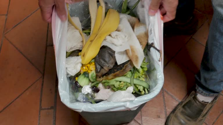 Best Carpet Removal and Disposal  in Little Canada, MN